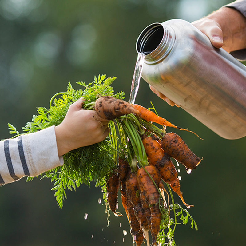 64oz-wide-with-loop-cap-n1 64oz_wide_mouth_bottle_carrots_rinse_square.jpg